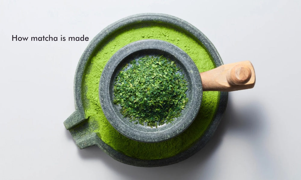 How Matcha Is Made: From Farming to Milling of Authentic Japanese Green Tea