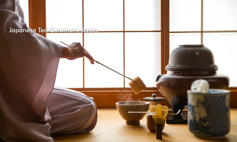 Japanese Tea Ceremony Basics: An Elegant Introduction for the Curious
