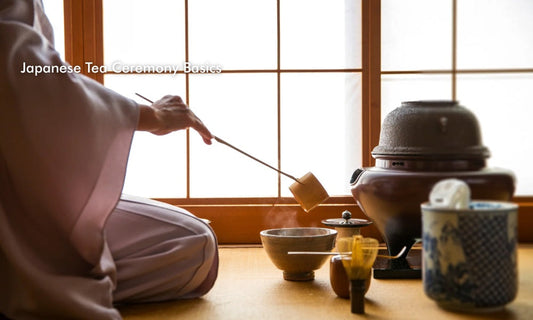 Japanese Tea Ceremony Basics: An Elegant Introduction for the Curious