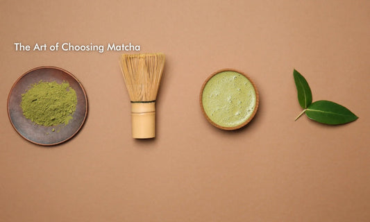 How to Choose Matcha: An Elegant Guide for the Discerning Beginner